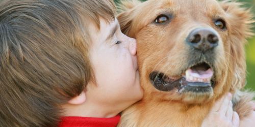 Close up of child kissing dog on the cheek