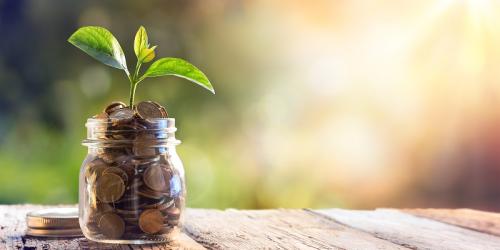 Jar full of coins standing upright with a seedling growing from the mouth of the jar