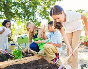 Educator and school aged children planting and digging in a garden bed